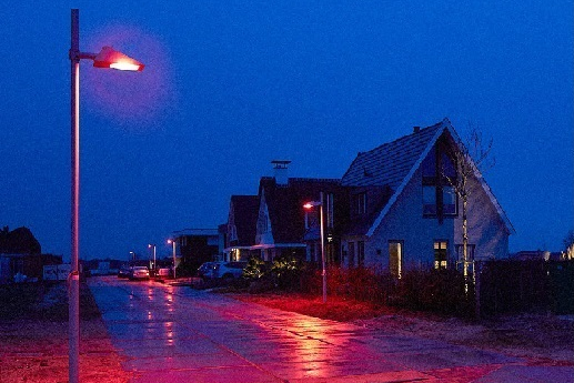 Neighborhood street at night with bat-friendly, red street lights