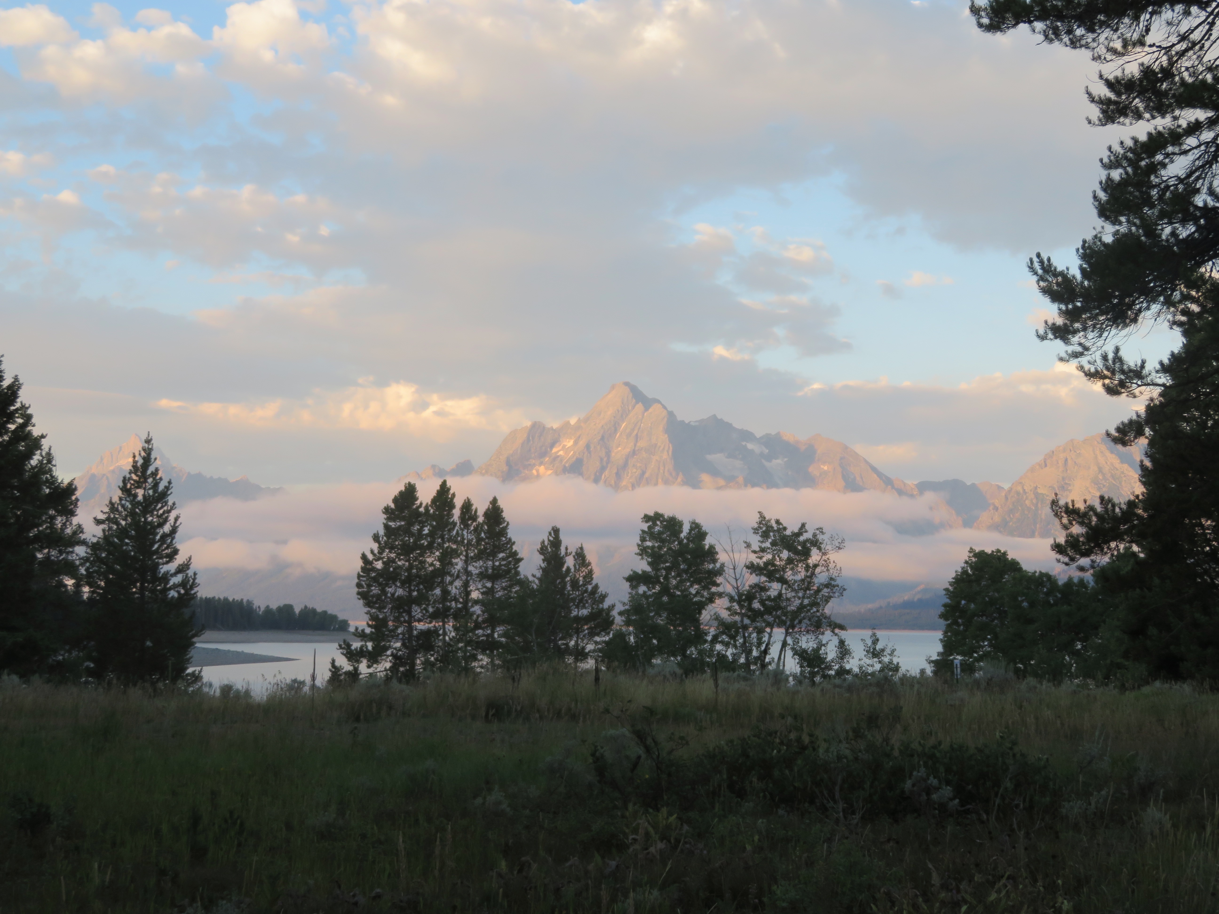 a grassy meadow and trees in front of Jackson Lake, with a large cloud at the foot of the teton mountains