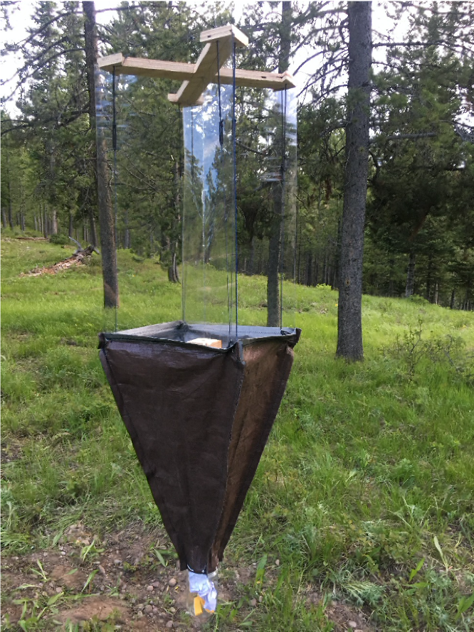 small trap made from black fabric, hanging from cables in the forest